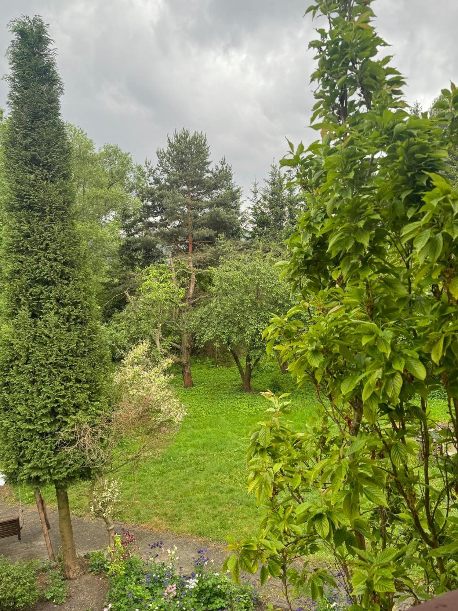 Zielony Zakatek Piechowice  Habitación foto