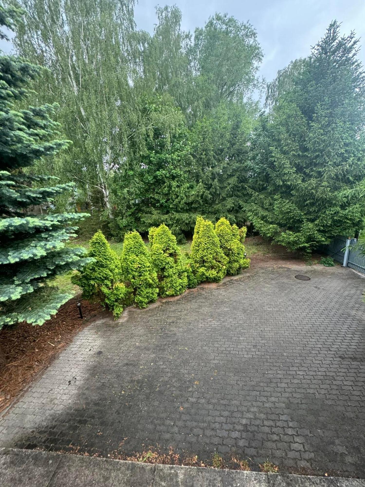 Zielony Zakatek Piechowice  Habitación foto